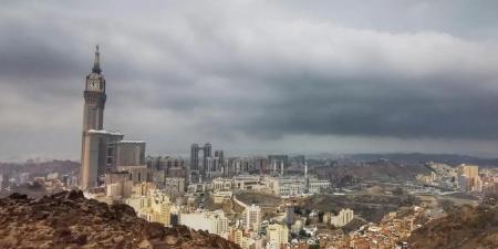 استهدفت العشوائية.. حملة مكثفة بالعاصمة المقدسة استعدادًا للحج
