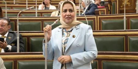 النائبة سحر صدقى: قمة بغداد تستهدف تعزيز التكامل ولم الشمل العربي وإنهاء الصراع فى قطاع غزة