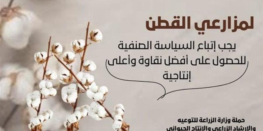 "معاك في الغيط" تقدم نصائح هامة لمزارعي القطن في بداية موسم الزراعة