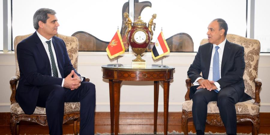 وزير خارجية مصر يؤكد "الرفض التام" لتوسيع العمليات الإسرائيلية في غزة وتجويع الفلسطينيين - الأول نيوز