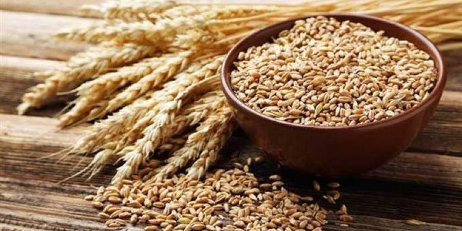 400 جنيها للطن.. انخفاض أسعار الأرز الشعير في مصر مع زيادة المعروض