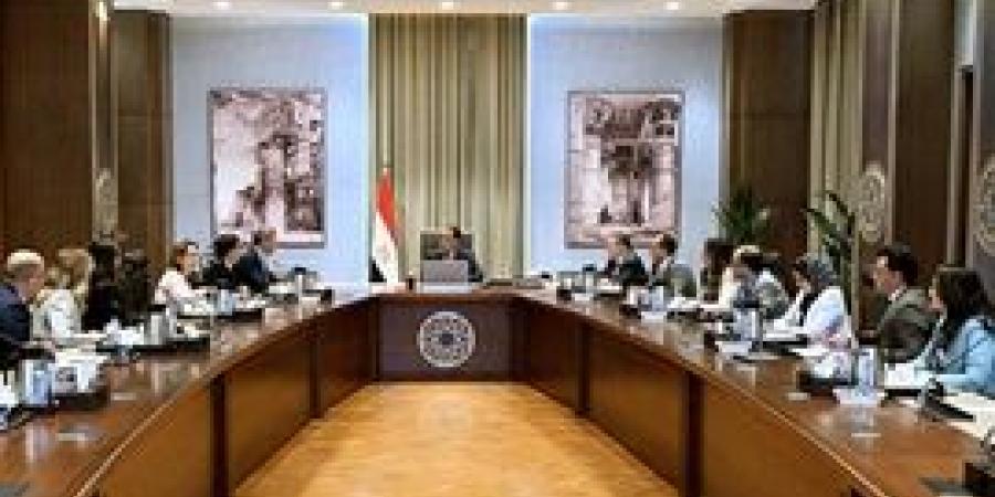 رئيس الوزراء يستقبل الرئيس التنفيذي لشركة "فيزا"