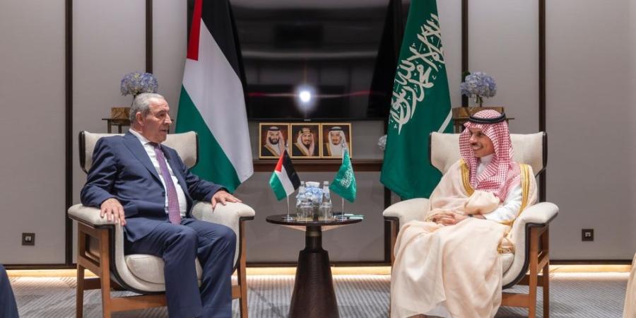 وزير الخارجية يبحث تطورات الأوضاع مع نائب رئيس دولة فلسطين