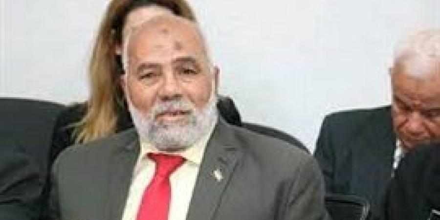 رئيس العدالة الاجتماعية زيارة الرئيس السيسي لليونان تؤسس لمرحلة جديدة من التعاون الاستراتيجي