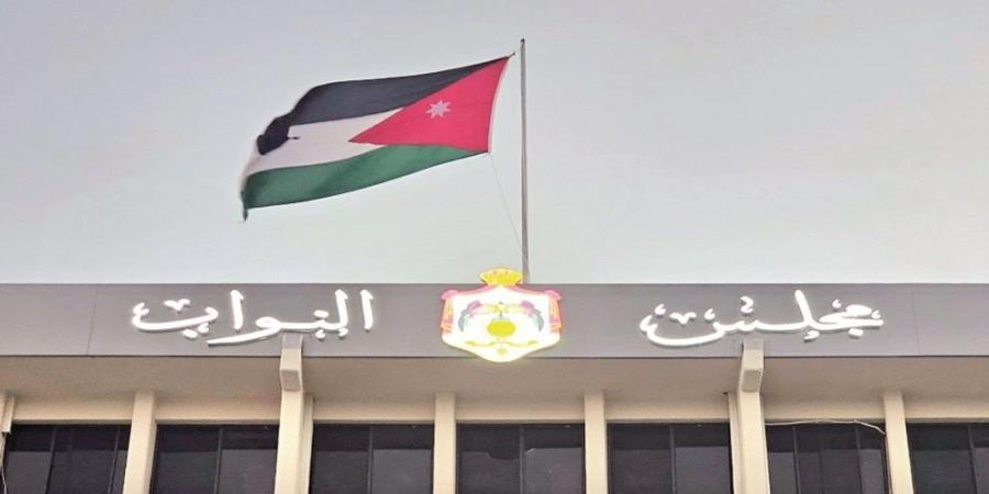 الصفدي: سنبقى نساند الأشقاء في غزة وأصوات الافتراء مصيرها الخزي والهزيمة