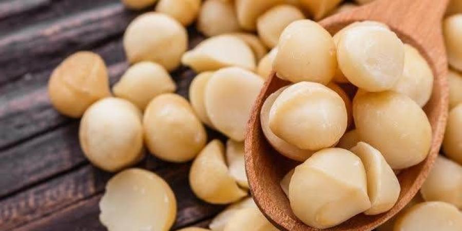 مكسرات المكاديميا.. كنز غذائي بفوائد مذهلة شرط عدم الإفراط في تناولها
