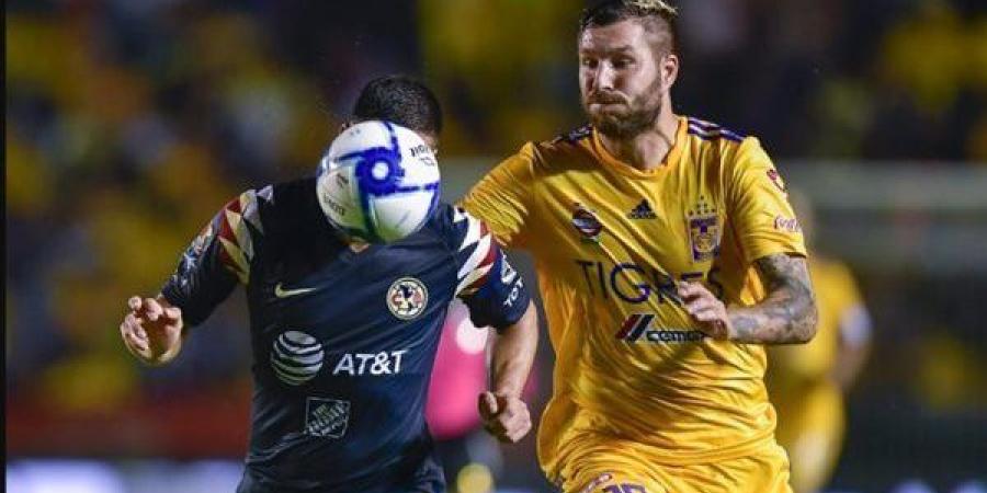 تيجريس أونال يتعادل مع تولوكا في الدوري المكسيكي