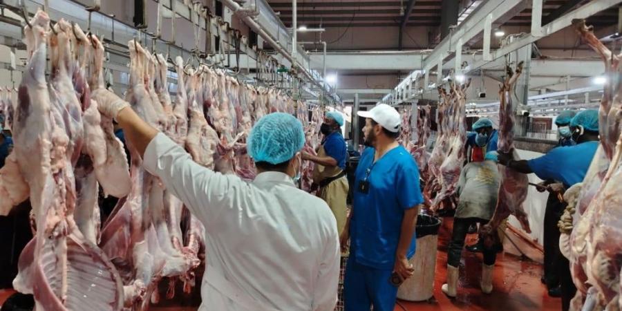 5 آلاف جولة رقابية و54 فرصة تطوعية.. "بيئة مكة" تكثف جهودها الميدانية