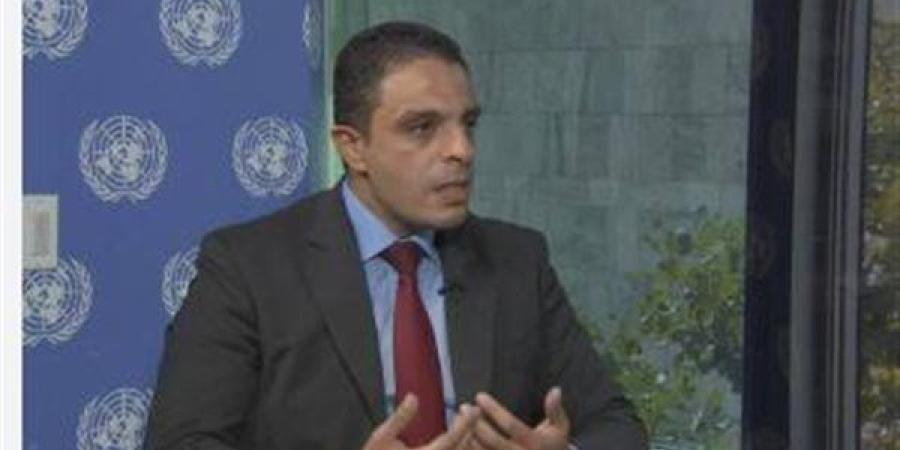 جمال رشدي: الصندوق الجديد سيُدار تحت إشراف الجامعة ويوحّد جهود الإغاثة