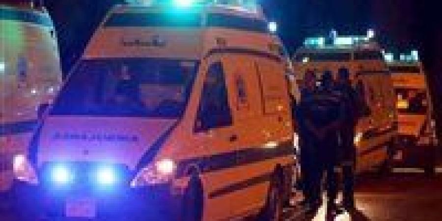 إصابة 4 أشخاص داخل مصانع بالمنطقة الصناعية في الدقهلية