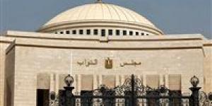دعوة برلمانية لمساءلة المجلس القومي للطفولة والأمومة بعد واقعة طفل دمنهور