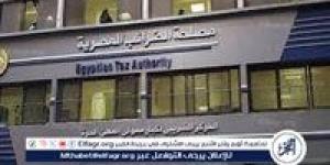 رئيس جمعية الضرائب المصرية: «الحوافز الجديدة».. تساعد فى توسيع القاعدة الضريبية