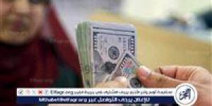 هدوء في سعر الدولار في مصر.. اليوم السبت 3 مايو 2025
