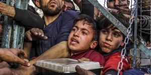 " المجلس النرويجي للاجئين": إنتاج الغذاء بغزة شبه مستحيل