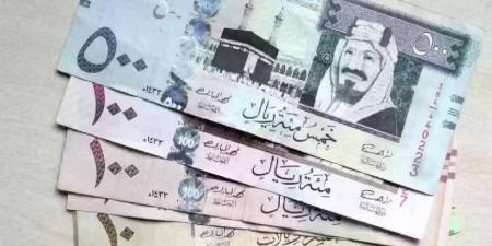 سعر الريال السعودي أمام الجنيه المصري اليوم السبت 3 مايو 2025