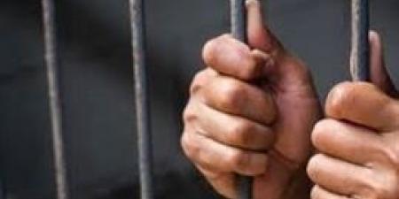 تجديد حبس خفير خصوصي ١٥ يوم لاتهامه بالتعدى على طفلة بشبين القناطر
