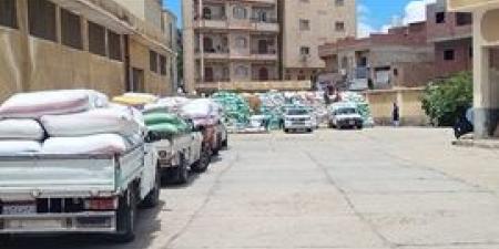 شون وصوامع كفر الشيخ تستقبل 57 ألف طن قمح
