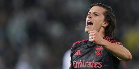 استعدادًا لمونديال الأندية.. ريال مدريد مهتم بالتعاقد مع ألفارو كاريراس من بنفيكا البرتغالي
