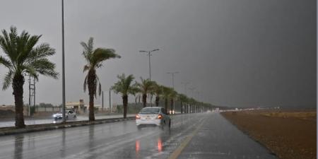 "الأرصاد": أمطار متوسطة ورياح شديدة على منطقة الباحة