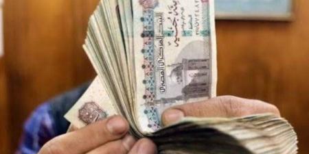 منحة العمالة غير المنتظمة 2025.. دعم مستمر للفئات الأكثر احتياجًا