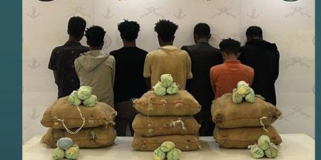 في 4 مناطق.. ضبط 16 شخصا بتهمة تهريب وترويج المخدرات