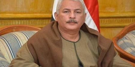 نقيب الفلاحيين: "لولا جسامة الجهود الحكومية في الفترة الأخيرة لأصبحت حبة الأرز بجنيه"