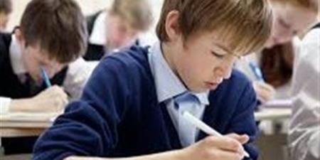 المهارات المهنية للصف الرابع الابتدائي pdf المتميز 2025