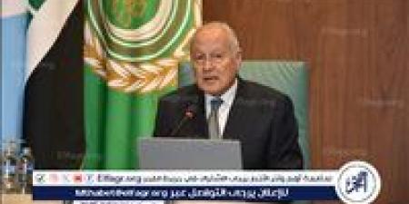 أبو الغيط يترأس اجتماع مجلس إدارة الصندوق العربي للمعونة الفنية للدول الإفريقية في بغداد