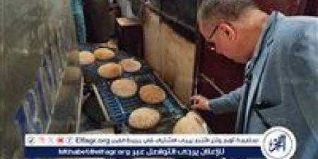 ضبط 25 طن دقيق ولحوم ومخللات وملح مجهول المصدر وتحرير 366 مخالفة بالدقهلية