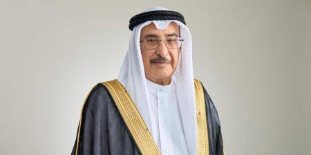 نائب رئيس مجلس الوزراء يصدر قراراً بتنظيم خدمات الاتصال المشتركة