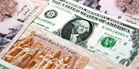 عاجل.. سعر الدولار أمام الجنيه المصري اليوم الإثنين 19 مايو 2025