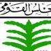 الطفولة والامومة: منظومة حماية الطفل لها ذراعين نجدة الطفل وحماية الطفولة بالمحافظات