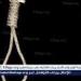 الإعدام شنقًا العامل قتل طفل لرفضه أعطائه مبلغ مالي بالقليوبية
