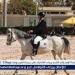 غدا.. إنطلاق نهائي بطولة الجمهورية للفروسية لقادرون باختلاف لذوي الهمم