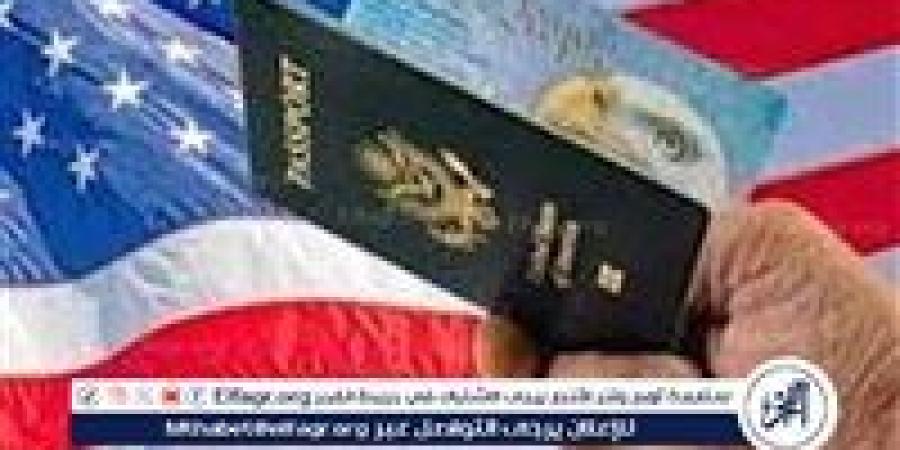 هل أنت من الفائزين؟.. تحقق من نتيجة اللوتري الأمريكي 2025 الآن