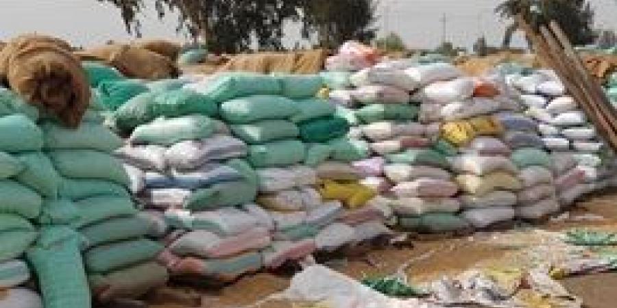 توريد 49 ألف طن قمح لشون وصوامع كفر الشيخ