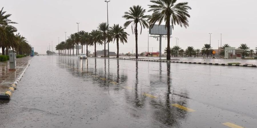 الأرصاد: أمطار ورياح نشطة على نجران وتبوك
