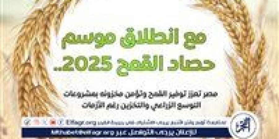 الحكومة: مشروع قومي للصوامع يضاعف السعة التخزينية ويقلل فاقد القمح في مصر