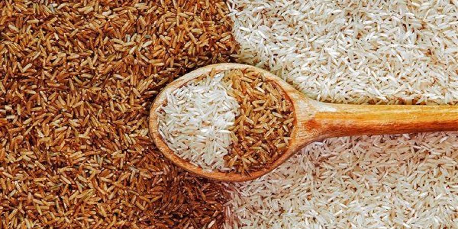 أسعار الأرز الشعير اليوم في مصر الاثنين 5 مايو 2025