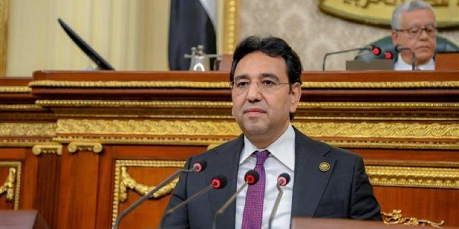 أيمن محسب: مصر حجر الزاوية في قضايا الأمن والاستقرار في المنطقة