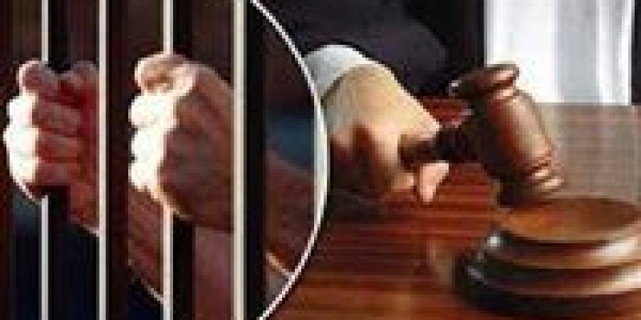 لمساومة الملاك.. استمرار حبس لص السيارات بالزيتون