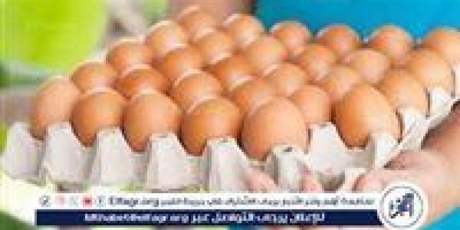 أسعار طبق البيض اليوم الجمعة 9-5-2025 في الدقهلية