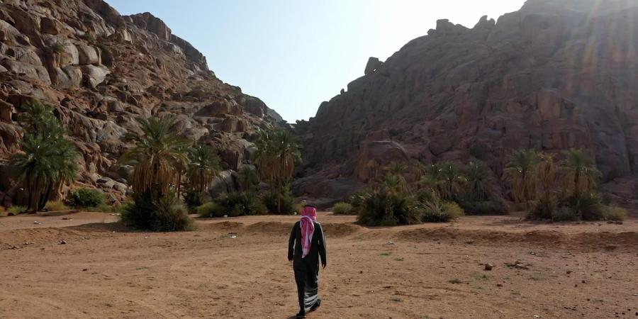 ما هي الأسواق الدولية ذات الأولوية التي تسعى السعودية إلى استقطابها؟ - الأول نيوز