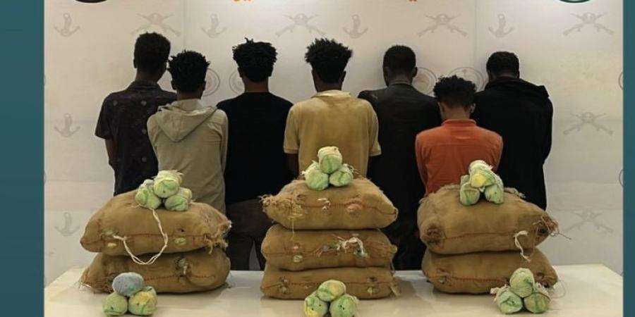 في 4 مناطق.. ضبط 16 شخصا بتهمة تهريب وترويج المخدرات
