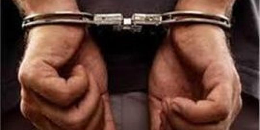 ضبط شخصين تعدو علي سائق وسحلوه بتروسكيل في الدقهليه