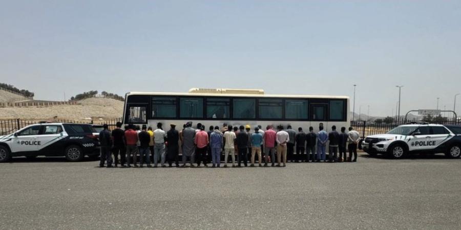 مكة المكرمة.. ضبط مخالف لنقله 35 مقيمًا لا يحملون تصريحًا بالحج