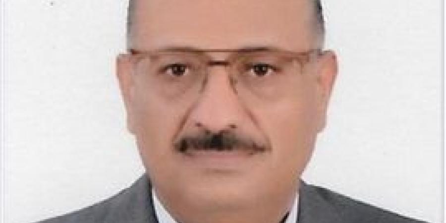 شاذلي القرباوي: زيارة الرئيس السيسي إلى روسيا ناجحة وترسخ لدور مصر كدولة محورية وركيزة للاستقرار الإقليمي