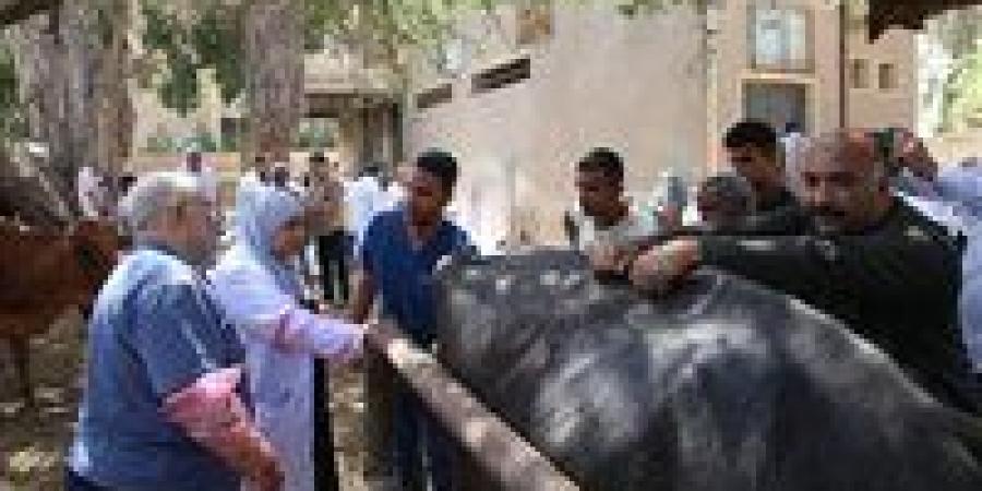 علاج 1045 حالة من الماشية بالمجان ضمن القافلة البيطرية بقرية الأعلام مركز الفيوم
