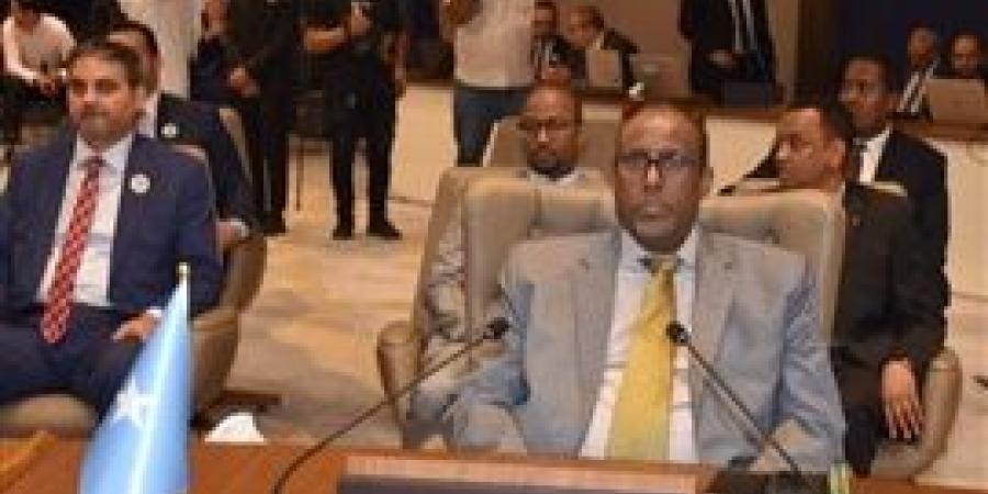 مندوب الصومال بالجامعة العربية يدعو لتضافر الجهود العربية لمواجهة لمواجهة الأزمات وتحقيق التنمية الشاملة