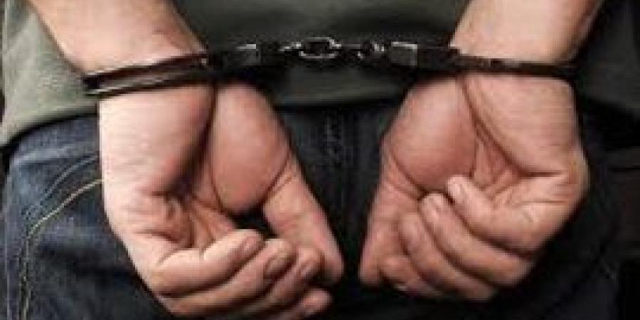 الأمن يكشف ملابسات فيديو متداول لضرب سيده بالشوما في الدقهليه